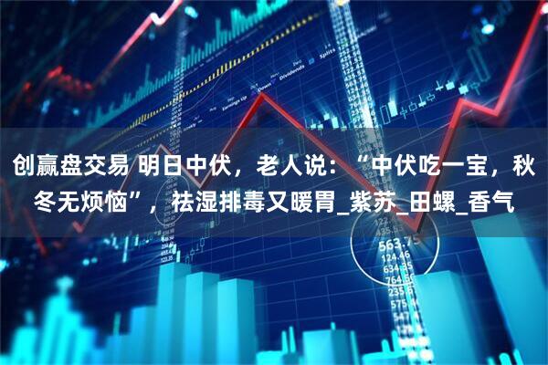 创赢盘交易 明日中伏，老人说：“中伏吃一宝，秋冬无烦恼”，祛湿排毒又暖胃_紫苏_田螺_香气