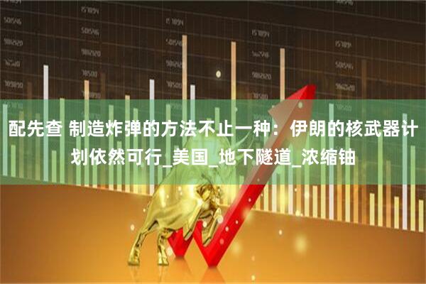 配先查 制造炸弹的方法不止一种：伊朗的核武器计划依然可行_美国_地下隧道_浓缩铀